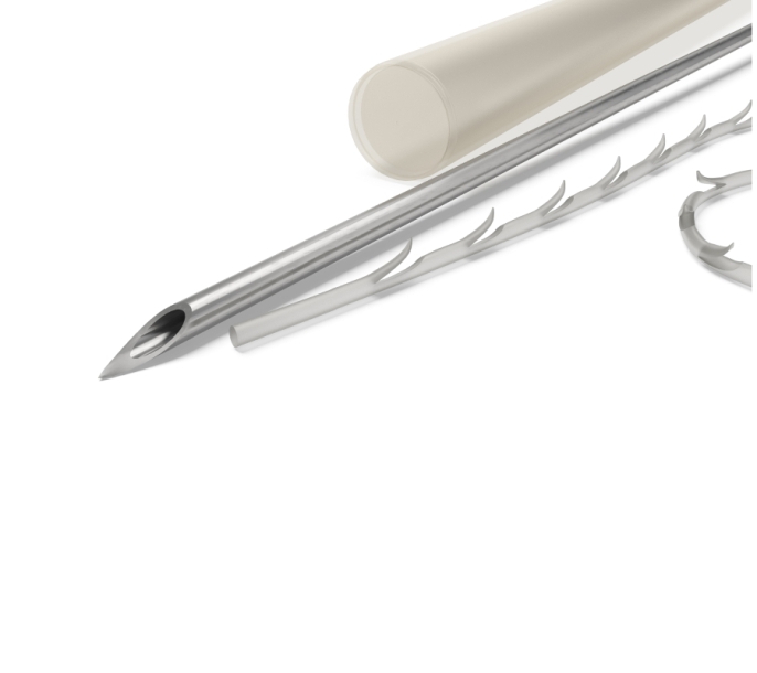 Excellence Elegance (EE)